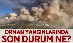 Bakan Yumaklı açıkladı: Orman yangınlarında son durum ne?