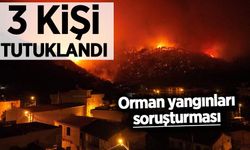 Orman yangınları soruşturmasında yeni gelişme: 3 kişi tutuklandı