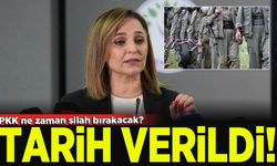 DEM Parti: PKK önümüzdeki hafta silah bırakmayla ilgili adım atacak
