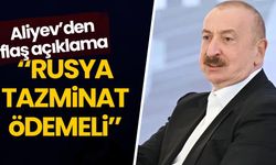 Aliyev: Uçağımızı vuranlar cezalandırılsın