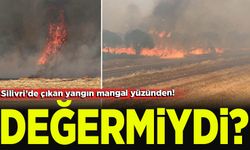 Silivri'de orman yangını: 100 hektar alan zarar gördü