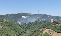 Balıkesir'de çıkan orman yangını kontrol altında