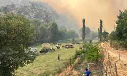 Uşak'ta orman yangınına müdahale ediliyor