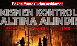 Bakan Yumaklı: 3 ilde yangınlar kısmen kontrol altına alındı