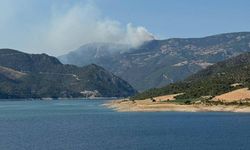 Sinop ve Aksaray'da orman yangını: Ekipler müdahale ediyor