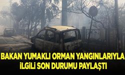 Bakan Yumaklı, orman yangınlarına ilişkin son durumu paylaştı