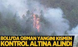 Bolu'da orman yangını kısmen kontrol altına alındı