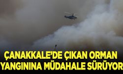 Çanakkale'de çıkan orman yangınına müdahale sürüyor