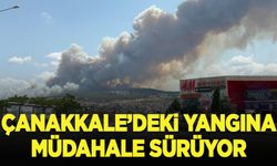Çanakkale'deki yangına müdahale sürüyor