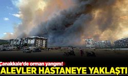 Çanakkale'de orman yangını: Alevler hastaneye yaklaştı