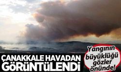 Çanakkale havadan görüntülendi: Orman yangınlarının vahametinin fotoğrafları...