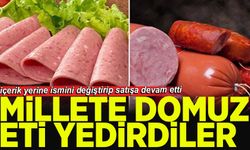 Domuz eti tespit edilen firma içerik yerine ismini değiştirip satışa devam etti