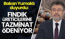 Bakan Yumaklı duyurdu: Fındık üreticilerine tazminat ödenecek