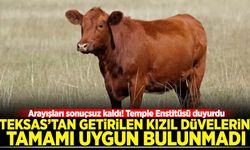 Temple Enstitüsü duyurdu: Teksas'tan getirilen Kızıl Düvelerin tamamı uygun bulunmadı