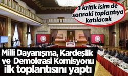 Milli Dayanışma, Kardeşlik ve Demokrasi Komisyonu ilk toplantısını yaptı