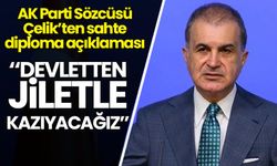 Sahte diploma soruşturması: 'Bu tür şebekeleşmeler devletten kazınacak'