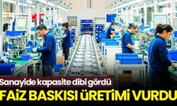 Faiz baskısı üretimi vurdu: Sanayide kapasite dibi gördü