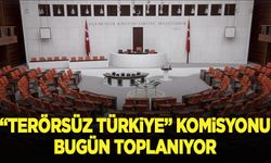 "Terörsüz Türkiye" Komisyonu bugün toplanıyor