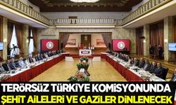 Terörsüz Türkiye süreci: Komisyonda şehit yakınları ve gaziler dinlenecek