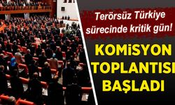 Terörsüz Türkiye sürecinde kritik gün! Komisyon toplantısı başladı