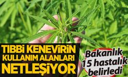 15 hastalık belirlendi! Tıbbi kenevir hangi tedavilerde kullanılacak?