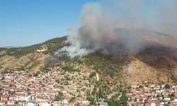 Tokat'taki orman yangını kontrol altına alındı