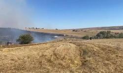 Çorum'da orman yangını