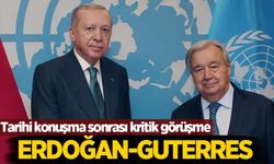 Cumhurbaşkanı Erdoğan, BM Genel Sekreteri Guterres ile görüştü