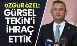 Özgür Özel: Kayyım görevini kabul eden Gürsel Tekin'i ihraç ettik