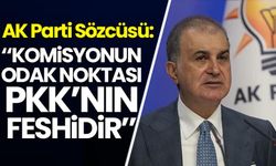 AK Parti Sözcüsü Çelik: Komisyonun odak noktası PKK'nın feshidir