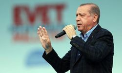 Yazar Cabir Yıldız yazdı: Kurdumuz kendi ağacımızdan!..