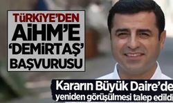 Türkiye'den AİHM Büyük Daire'ye 2Selahattin Demirtaş' başvurusu