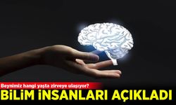 Beynimiz hangi yaşta zirveye ulaşıyor? Bilim insanları açıkladı