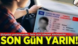 Eski tip ehliyetlerin yenilmesi için son gün yarın