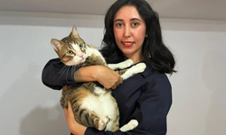 Gizemli kayıp: Tunus'tan 4 kedi ile bindi, Ankara'ya 3 kedi ile indi