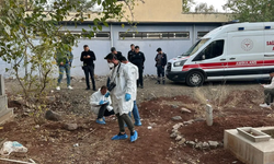 Şanlıurfa'da mezarlıkta bebek cesedi bulundu