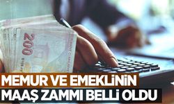 Emekli ve memur zam oranları kesinleşti! Kim ne kadar maaş alacak?