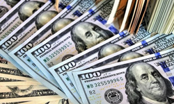 Merkez Bankası rezervleri 184,2 milyar dolar oldu