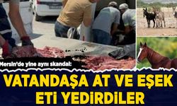 Mersin'de yine aynı skandal: Vatandaşa at ve eşek eti yedirdiler