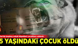 Van'da başıboş sokak köpekleri çocuklara saldırdı: 5 yaşındaki Hamza öldü