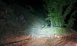 Bursa'da heyelan nedeniyle köy yoluna ağaçlar ve toprak yığınları düştü