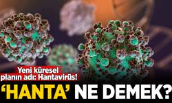 Yeni küresel planın adı: Hantavirüs! Hanta ne demek?