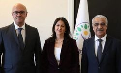 DEM Parti heyeti, Abdullah Öcalan ile görüşecek