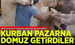 Kurban pazarına domuz getirdiler!