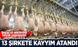 Beyaz et sektöründe 13 şirkete kayyım atandı!