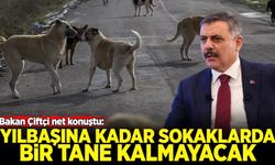 Bakan Çiftçi net konuştu: Yılbaşına kadar sokaklarda bir tane kalmayacak