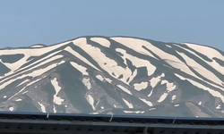 Gören bir daha baktı! Yüksekova’da dağlar zebra deseniyle kaplandı