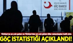 Göç istatistikleri açıklandı! Türkiye'ye en çok gelen ve Türkiye'den en çok giden ülke vatandaşları belli oldu