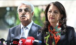 DEM Parti'den 'çerçeve yasa' için yeni hamle