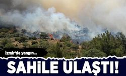 İzmir'de makilik alanda yangın çıktı, sahile kadar ulaştı